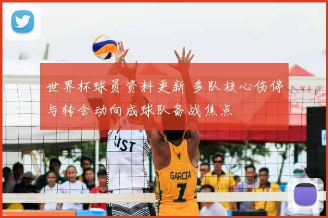 世界杯球员资料更新 多队核心伤停与转会动向成球队备战焦点