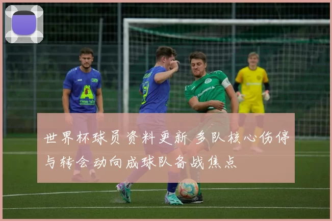 世界杯球员资料更新 多队核心伤停与转会动向成球队备战焦点