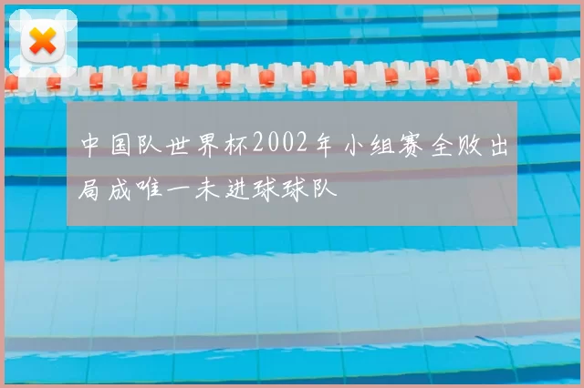 中国队世界杯2002年小组赛全败出局成唯一未进球球队